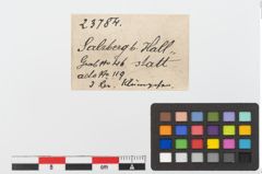 Etiketten zu Bronzeschmelzrest (NHMW-PRAE-023784)